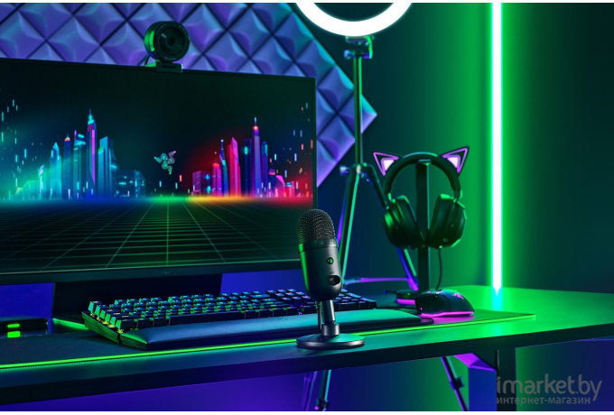 Микрофон Razer Seiren V2 X [RZ19-04050100-R3M1]