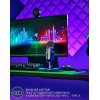 Микрофон Razer Seiren V2 Pro [RZ19-04040100-R3M1]