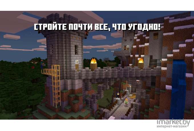 Игра для приставки Nintendo Minecraft [45496420628]