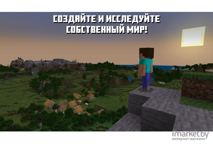 Игра для приставки Nintendo Minecraft [45496420628]