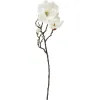 Искусственное растение Ikea Смикка магнолия белый 905.066.70