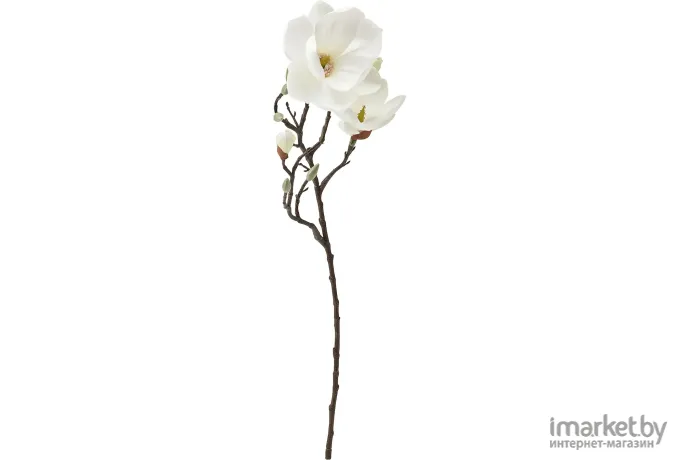 Искусственное растение Ikea Смикка магнолия белый 905.066.70