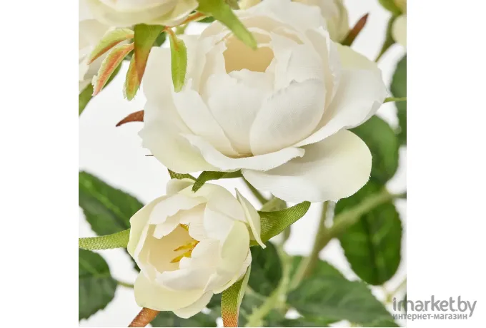 Искусственное растение Ikea Смикка роза белый 605.083.88