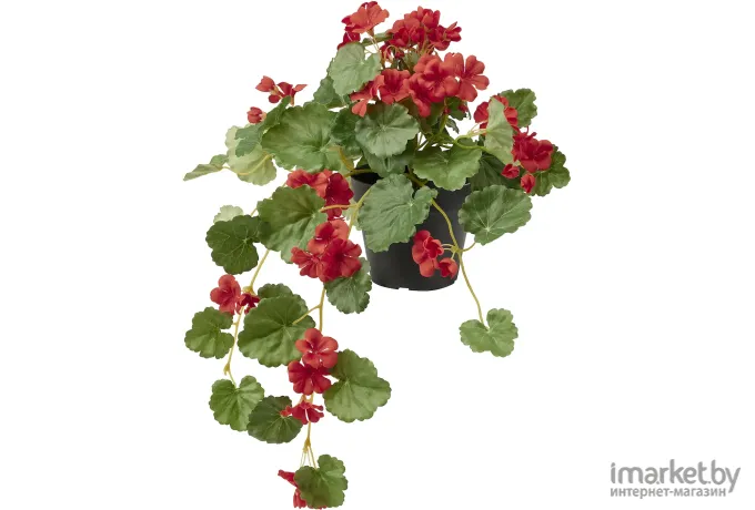 Искусственное растение Ikea Фейка герань красный 705.065.05