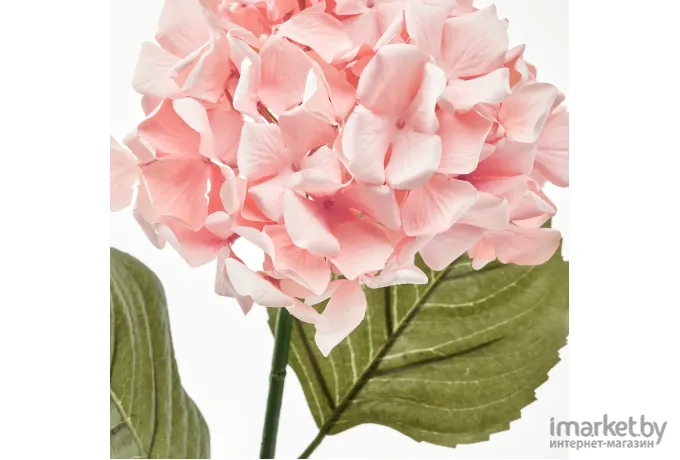Искусственное растение Ikea Смикка гидрангея розовый 705.066.66