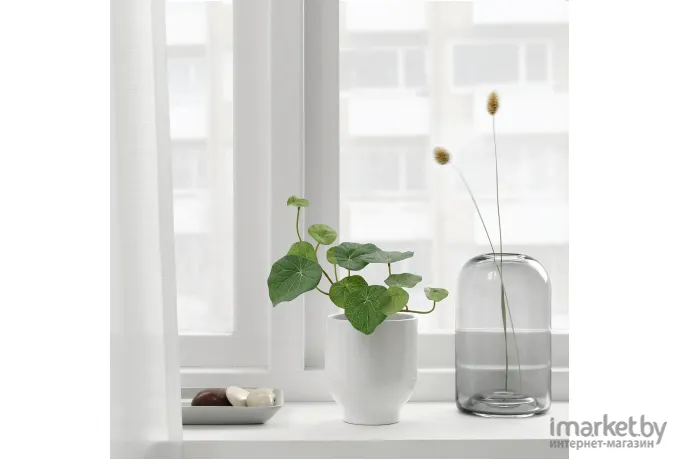 Искусственное растение Ikea Фейка 805.065.00
