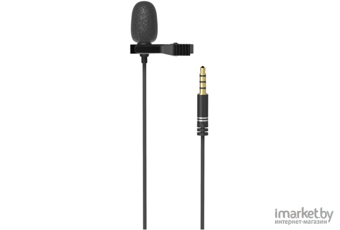 Микрофон Ritmix RCM-110 черный