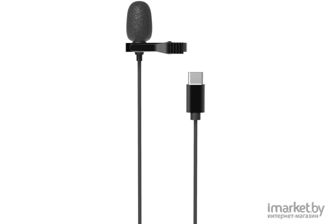 Микрофон Ritmix RCM-210 черный