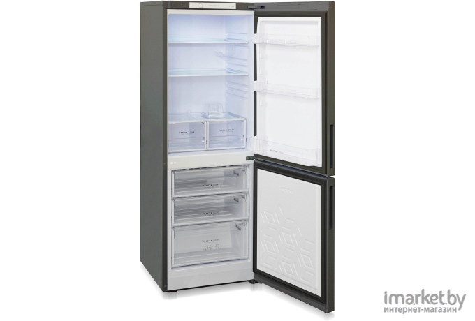 Холодильник Бирюса B-W6033