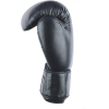 Боксерские перчатки Insane Ares 10oz черный [IN22-BG300 черный 10oz]
