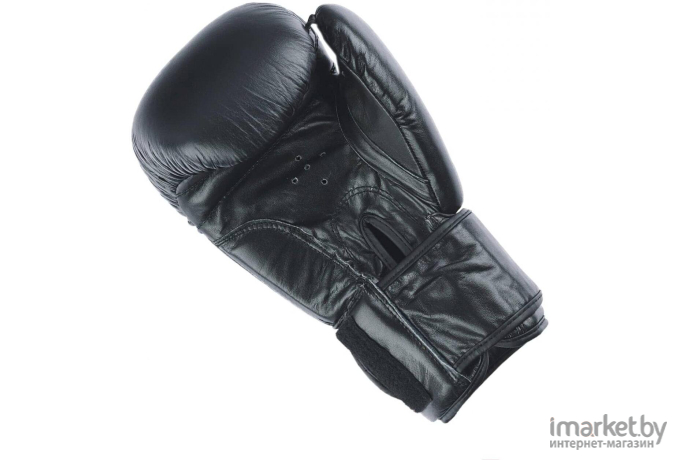 Боксерские перчатки Insane Ares 12oz черный [IN22-BG300 черный 12oz]