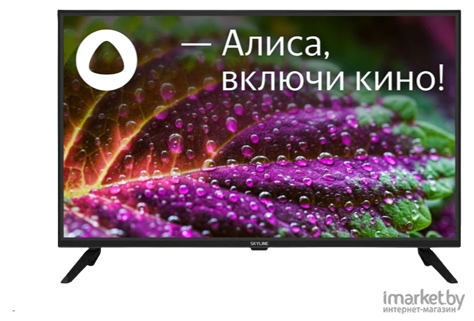 Телевизор Skyline 32YST5975