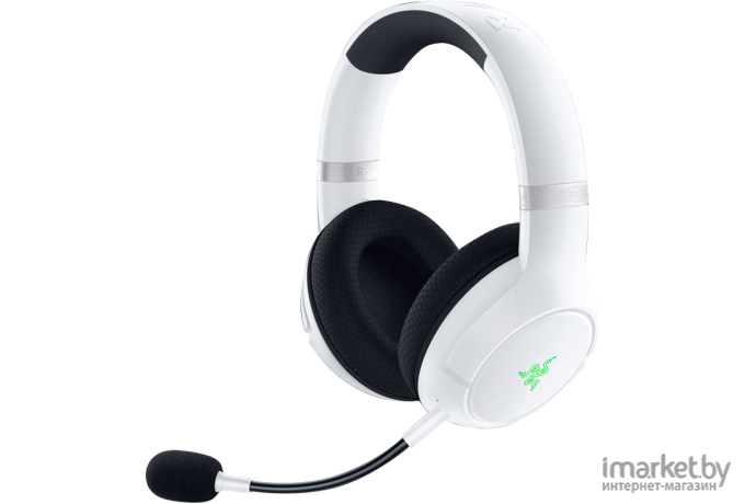 Наушники Razer Kaira Pro for Xbox [RZ04-03470300-R3M1]