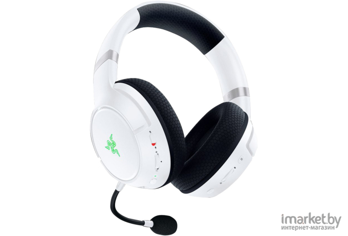 Наушники Razer Kaira Pro for Xbox [RZ04-03470300-R3M1]