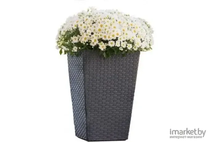 Кашпо Keter Medium Rattan Planter 55л графит [228974]