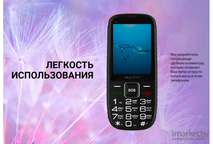 Мобильный телефон Maxvi B9 красный [B9 красный]