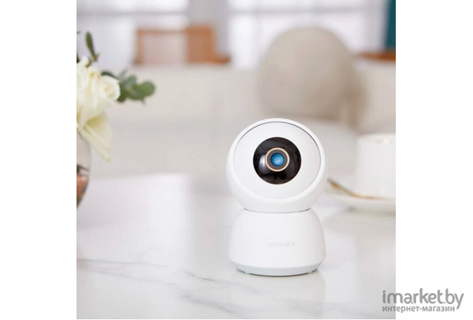 IP-камера Imilab Home Security Camera C30 (CMSXJ21E)