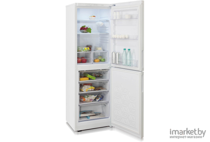 Холодильник Бирюса Б-6031 Белый