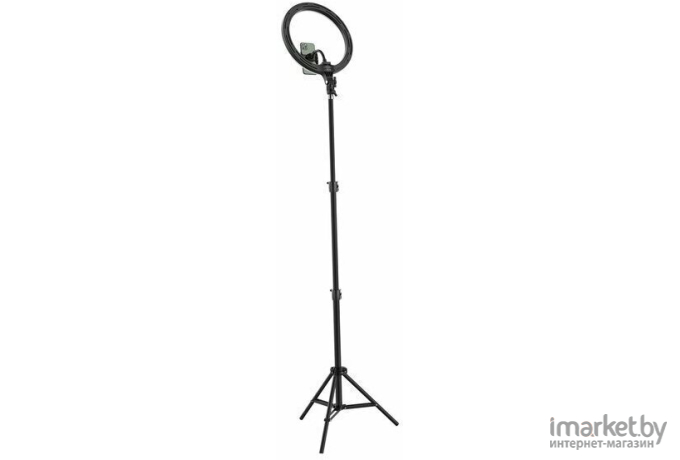 Кольцевая лампа Baseus Live Stream Holder-floor Stand 30cm + штатив напольный 2m Black (CRZB12-B01)