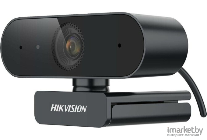 Web-камера Hikvision DS-U02P 2Mpix USB2.0 с микрофоном черный