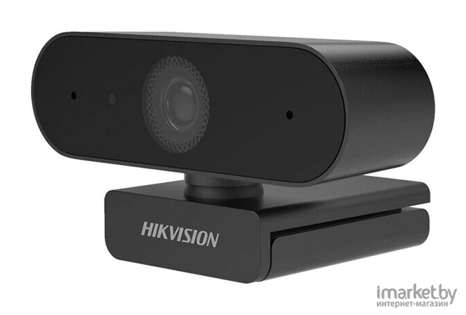 Web-камера Hikvision DS-U02P 2Mpix USB2.0 с микрофоном черный