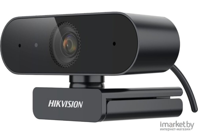 Web-камера Hikvision DS-U02P 2Mpix USB2.0 с микрофоном черный