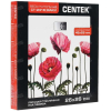 Напольные весы CENTEK CT-2416 Pink Flower