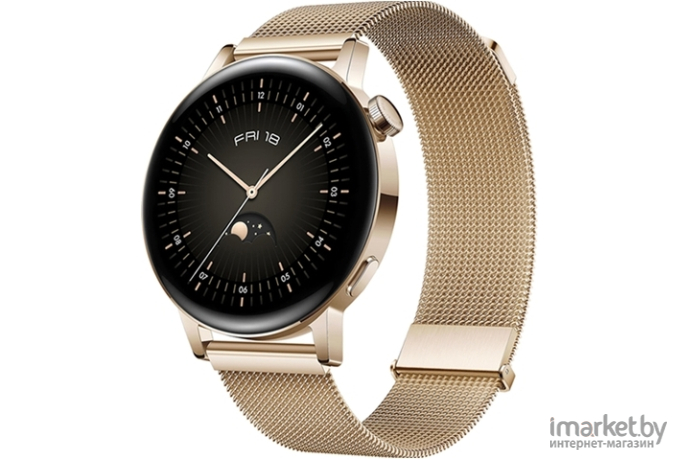 Huawei model MIL-B19 Elegant Gold Stainless Steel Case Gold Milanese Strap