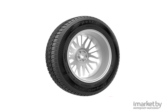 Автомобильные шины Petlas Elegant PT311 195/65R15 91T