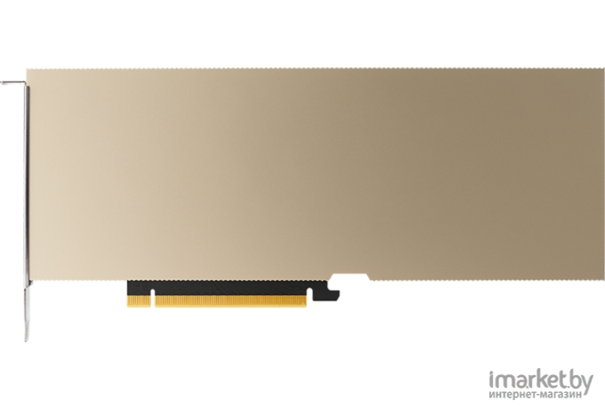 Видеокарта Nvidia A10 24GB GDDR6 (900-2G133-0020-100)