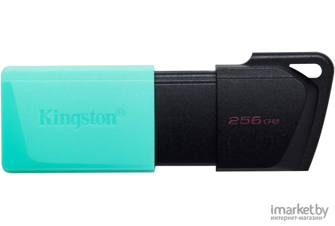 Флэш накопитель Kingston DataTraveler Exodia M (DTXM/256GB)