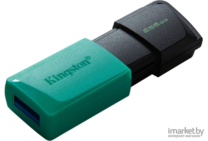 Флэш накопитель Kingston DataTraveler Exodia M (DTXM/256GB)