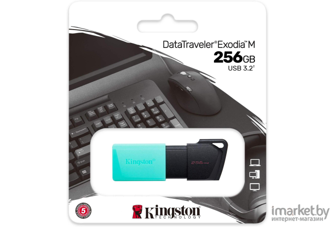 Флэш накопитель Kingston DataTraveler Exodia M (DTXM/256GB)