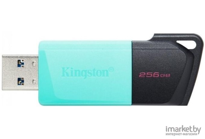 Флэш накопитель Kingston DataTraveler Exodia M (DTXM/256GB)