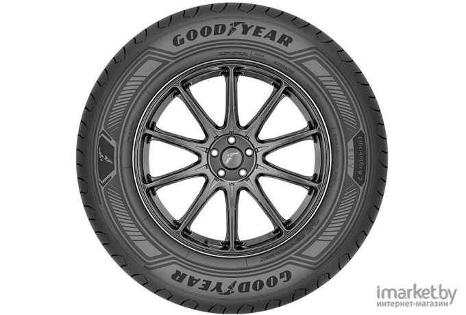 Автомобильные шины Goodyear EfficientGrip 2 SUV 225/55R19 103V