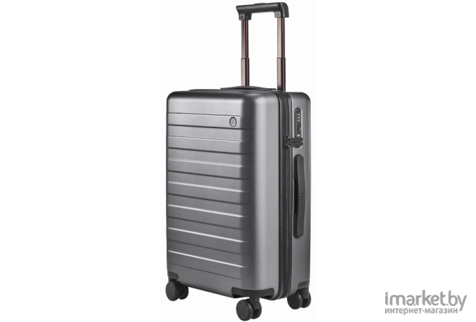 Чемодан Ninetygo Rhine PRO Luggage 24 (серый)