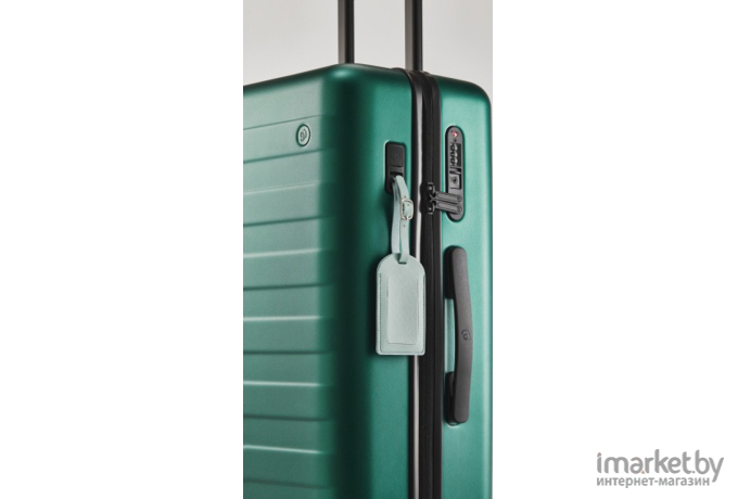 Чемодан Ninetygo Rhine PRO plus Luggage 24 Green