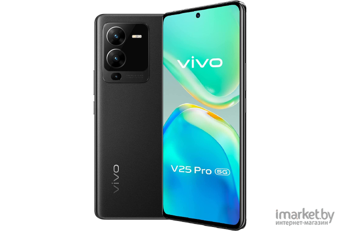 Смартфон Vivo V25 PRO 12GB/256GB Starlight Black (V2158)