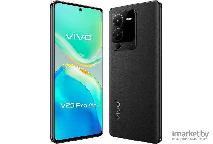 Смартфон Vivo V25 PRO 12GB/256GB Starlight Black (V2158)