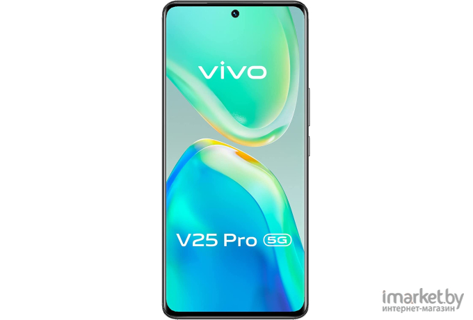 Смартфон Vivo V25 PRO 12GB/256GB Starlight Black (V2158)