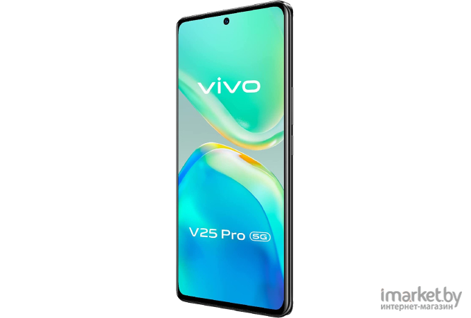 Смартфон Vivo V25 PRO 12GB/256GB Starlight Black (V2158)