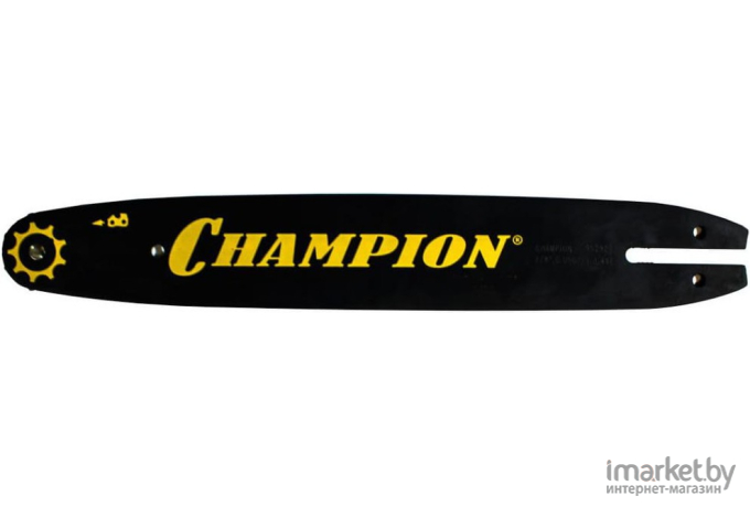 Шина Champion 10″ (952931)