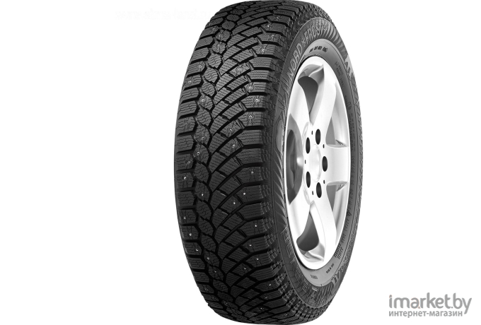 Автомобильные шины Gislaved Soft Frost 200 245/45R19 102T