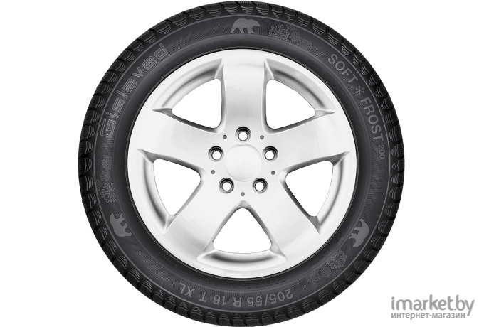 Автомобильные шины Gislaved Soft Frost 200 205/50R17 93T