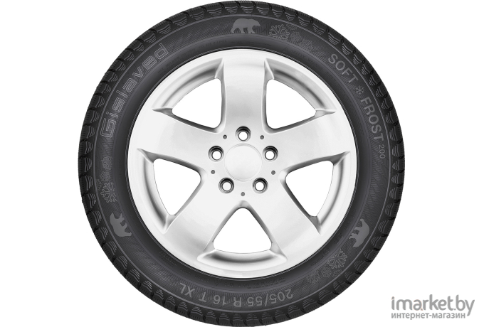 Автомобильные шины Gislaved Soft Frost 200 SUV 235/60R18 107T