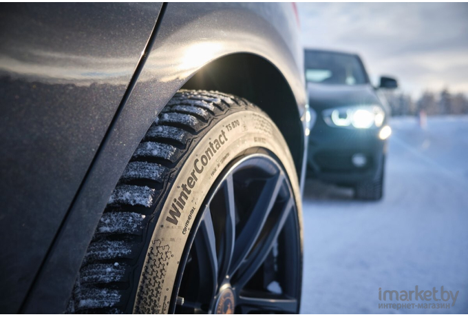 Автомобильные шины Continental WinterContact TS 870 205/55R16 91H