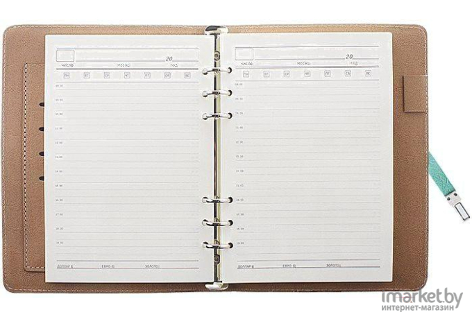 Ежедневник Darvish с ручкой (DV-6751)