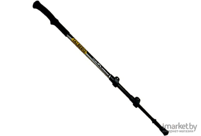 Треккинговые палки Talberg Expedition Pole черный