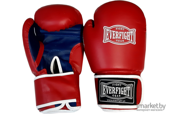 Перчатки боксерские Everfight EBG-524 Olympic 12oz