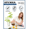 Кружка Bradex TK 0612